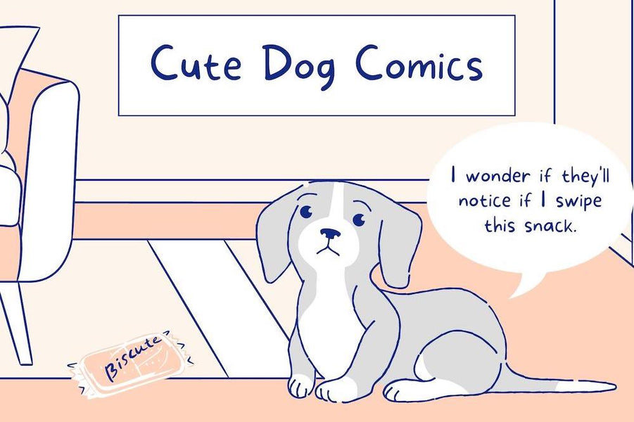 15 Reasons We Love Dogs, Explained in Comics